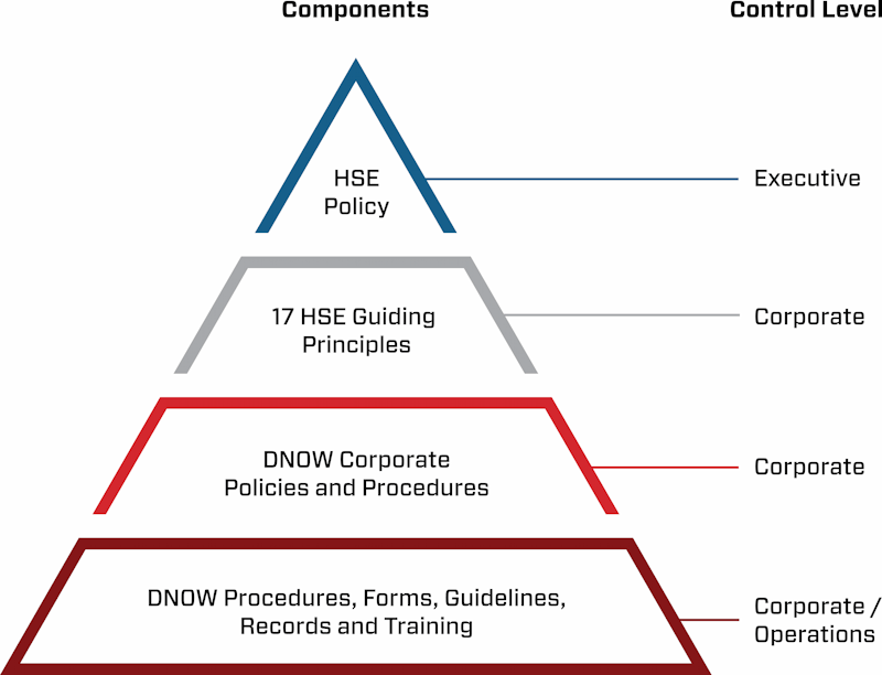 Health, Safety and Environment (HSE) management system